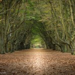 Urlaub in Oostkapelle - Zeeland