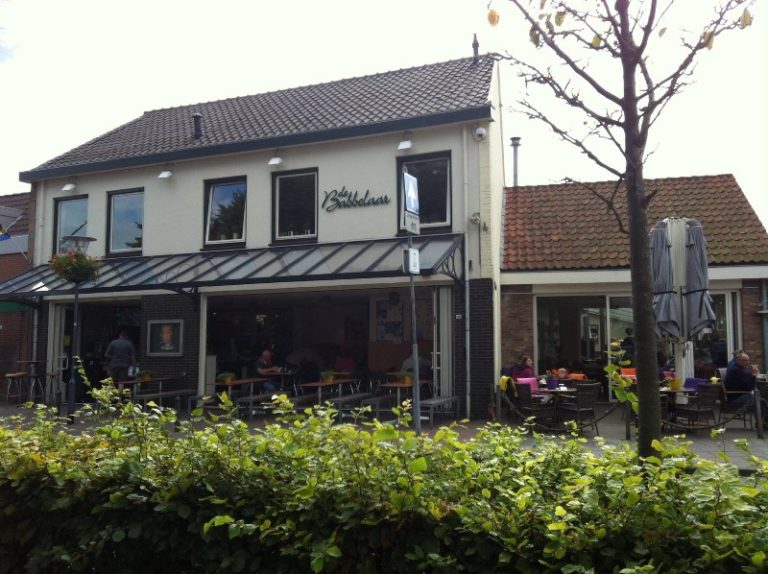 952 babbelaar 768x574