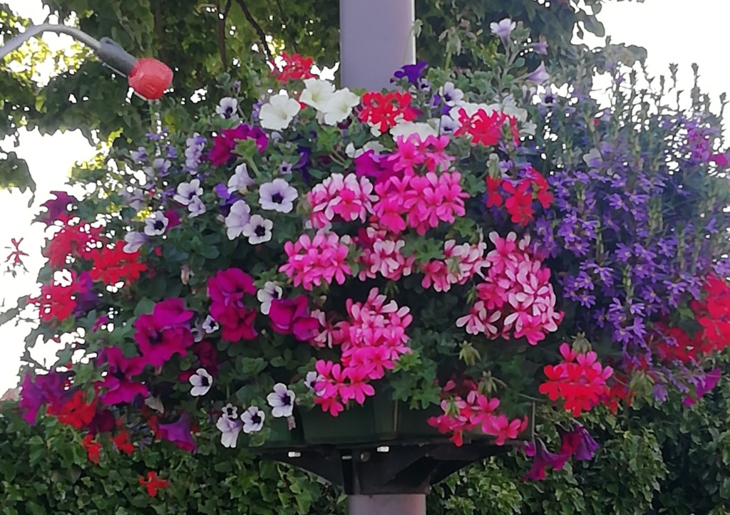 Wat is er te doen in Oostkapelle - Ondernemersvereniging Natuurlijk